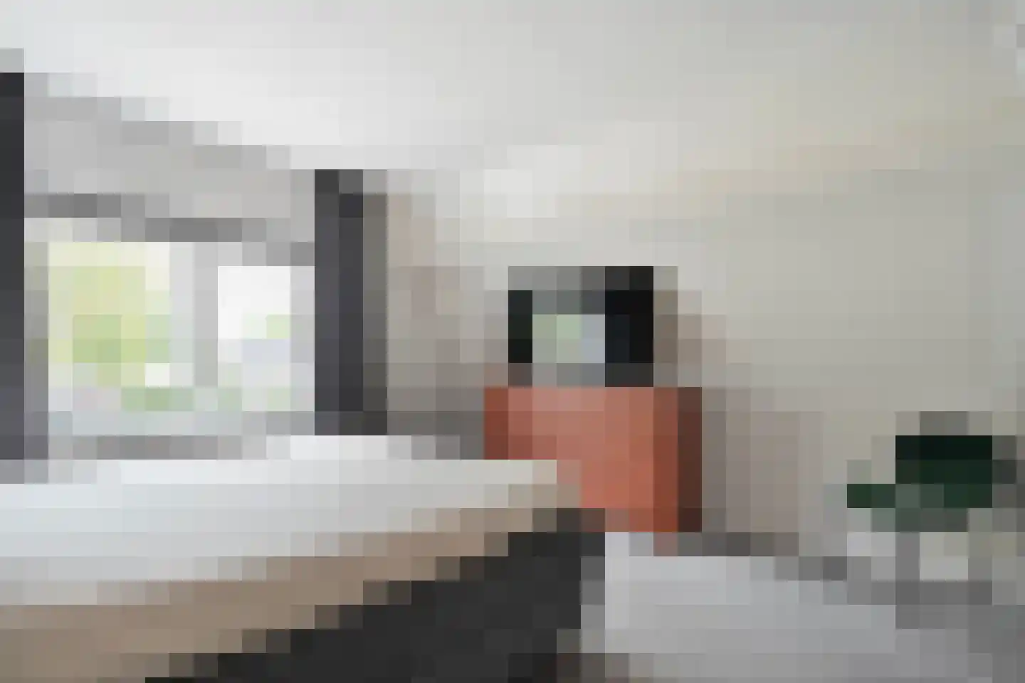 Merelstraat 19 Nijeveen thumbnail 28