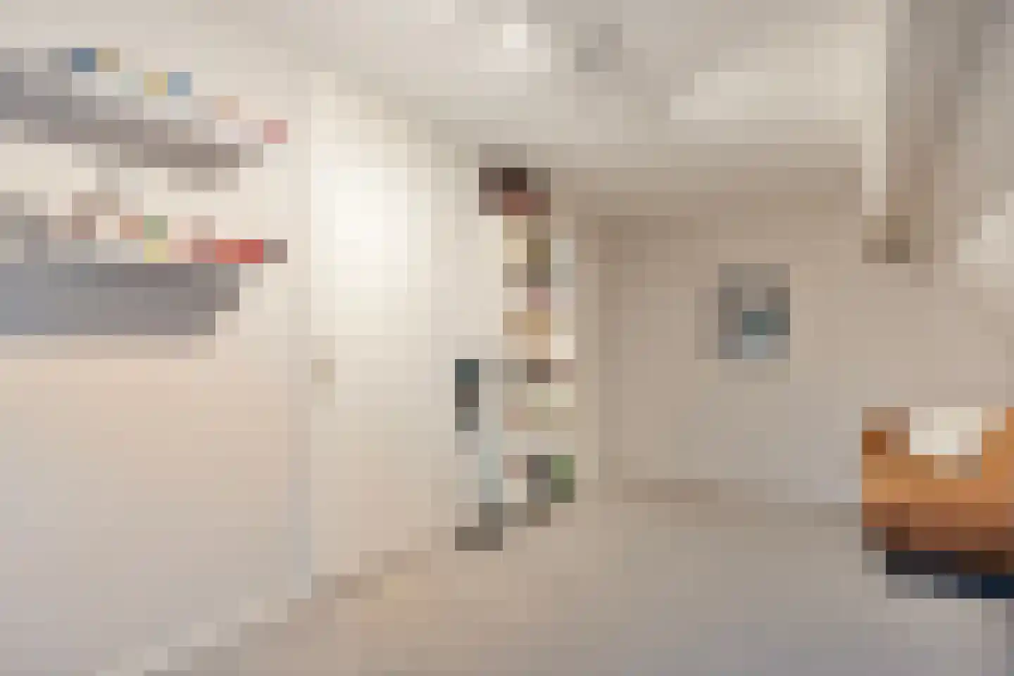 Merelstraat 19 Nijeveen thumbnail 31