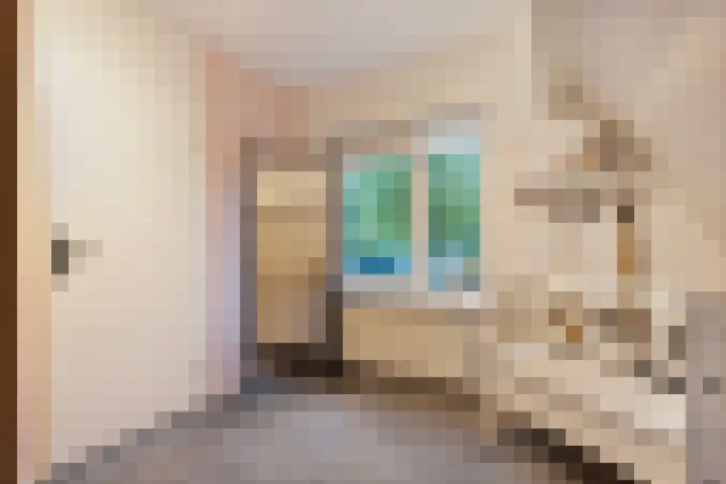 Merelstraat 19 Nijeveen thumbnail 32