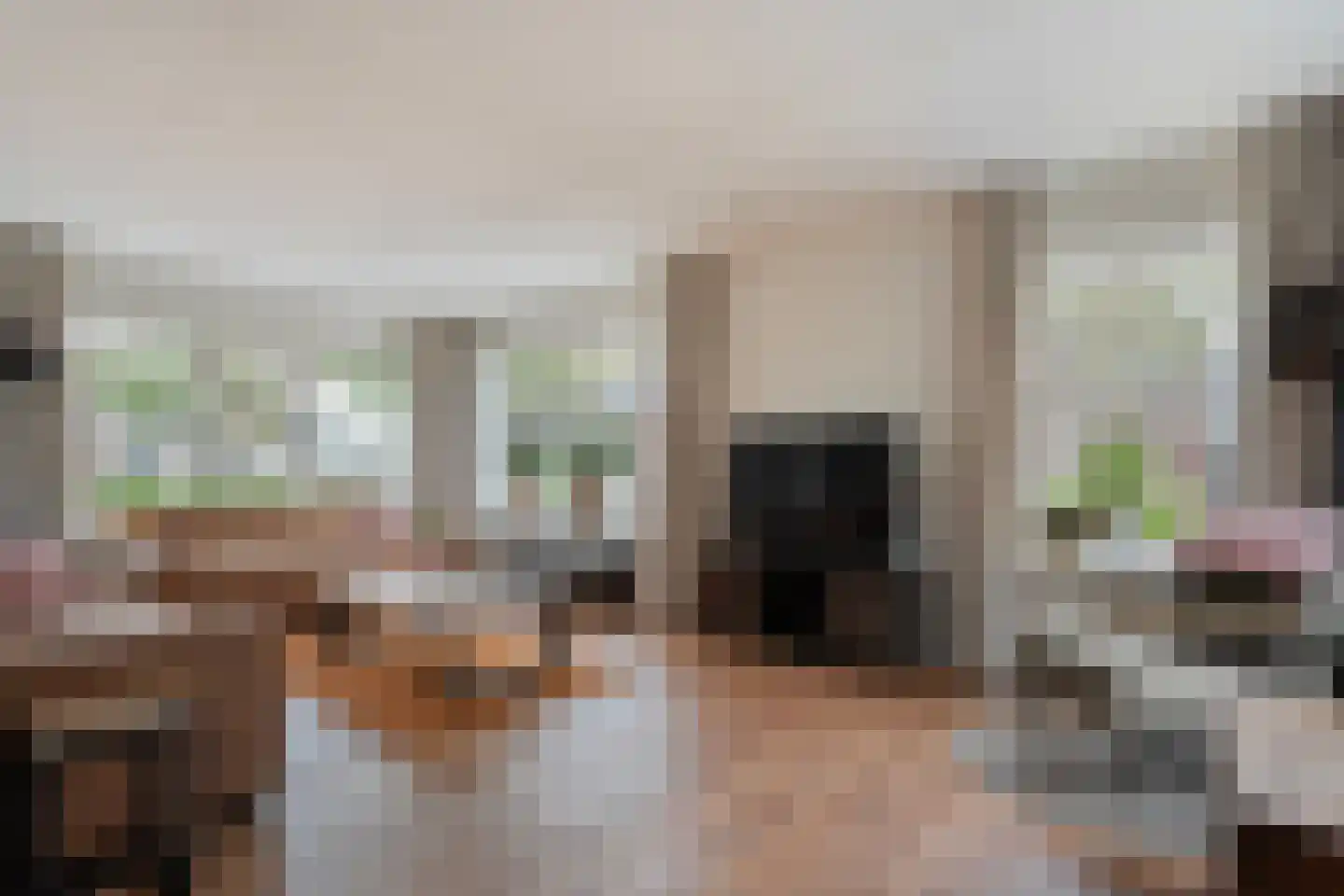 Merelstraat 19 Nijeveen thumbnail 5