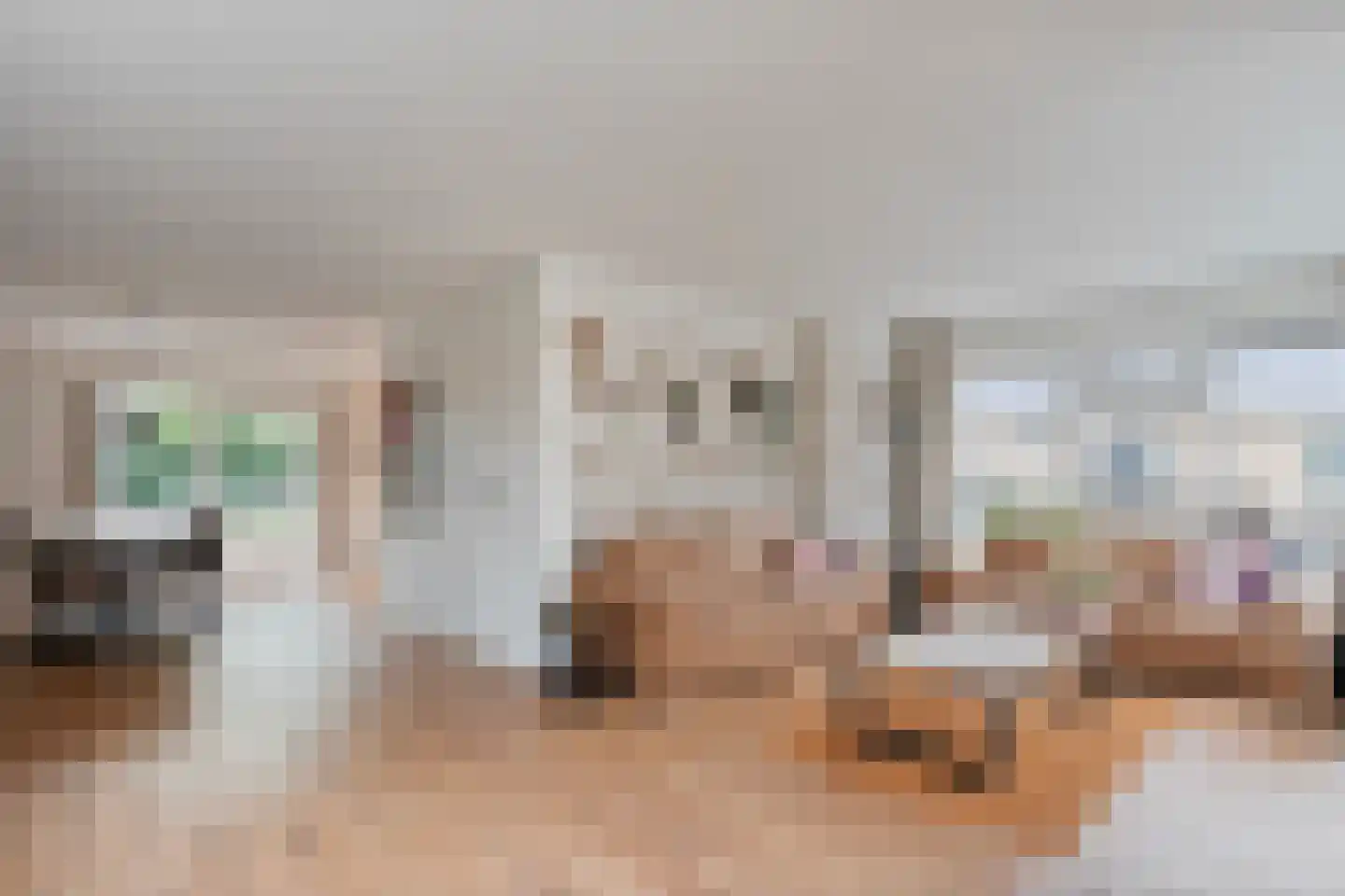 Merelstraat 19 Nijeveen thumbnail 6