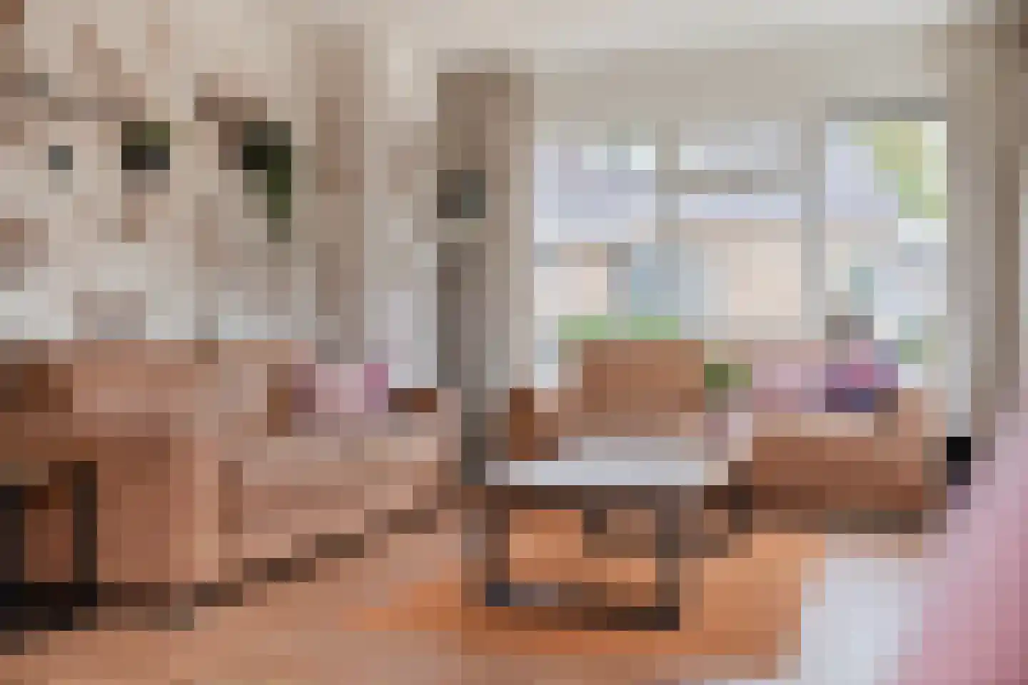 Merelstraat 19 Nijeveen thumbnail 8