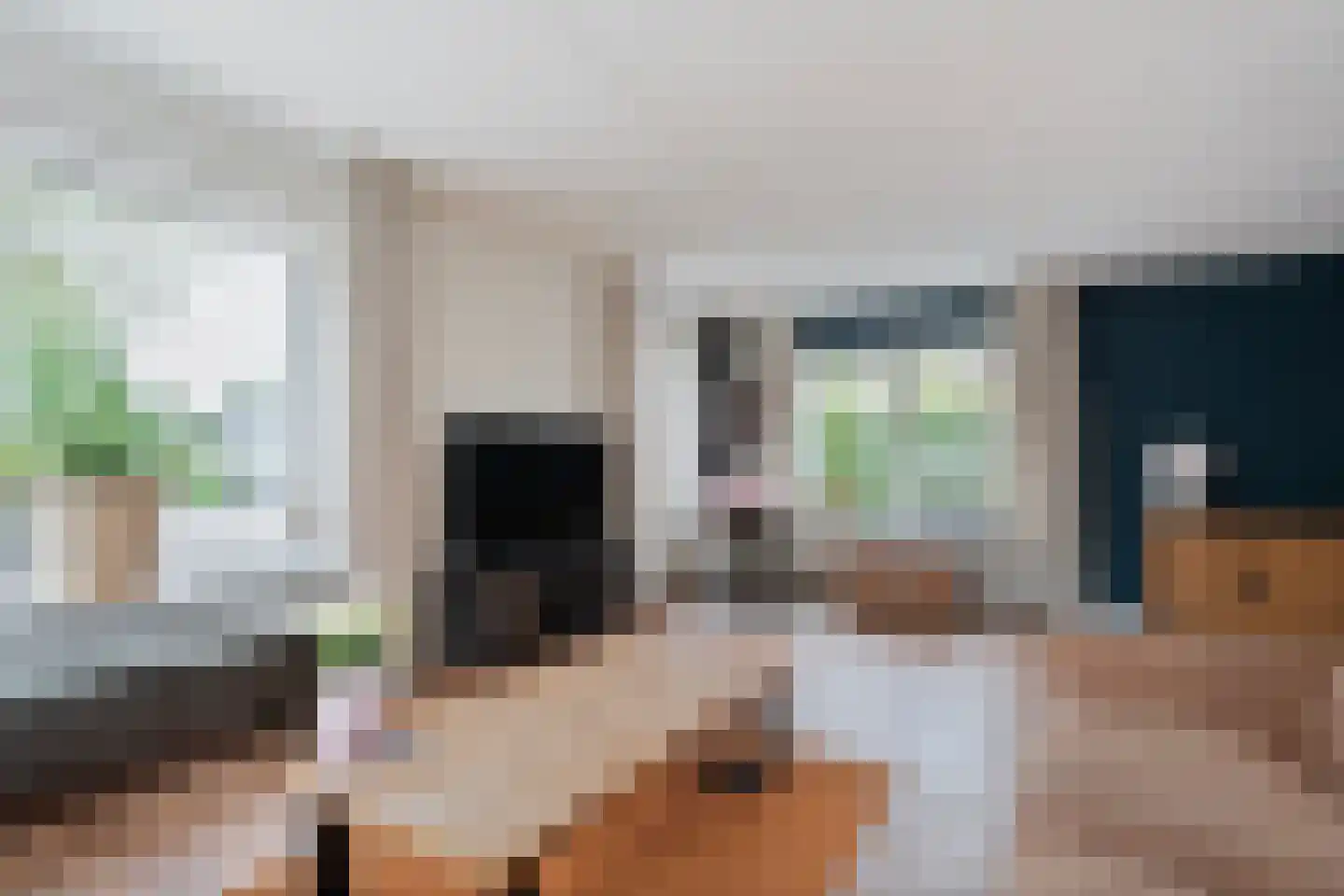 Merelstraat 19 Nijeveen thumbnail 9