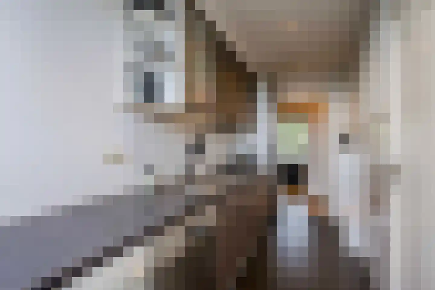 Merelstraat 2 Katwijk thumbnail 27