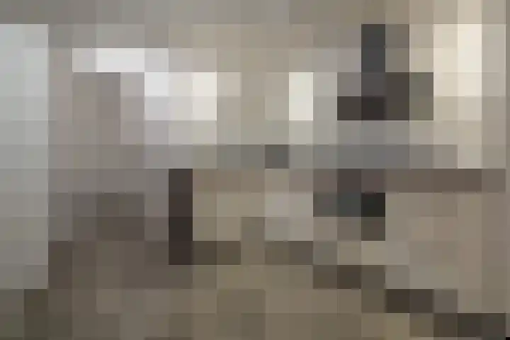 Merelstraat 2 Lopik thumbnail 12