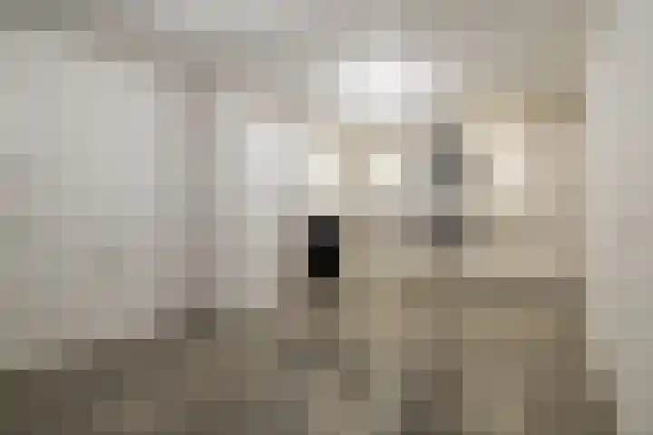 Merelstraat 2 Lopik thumbnail 28