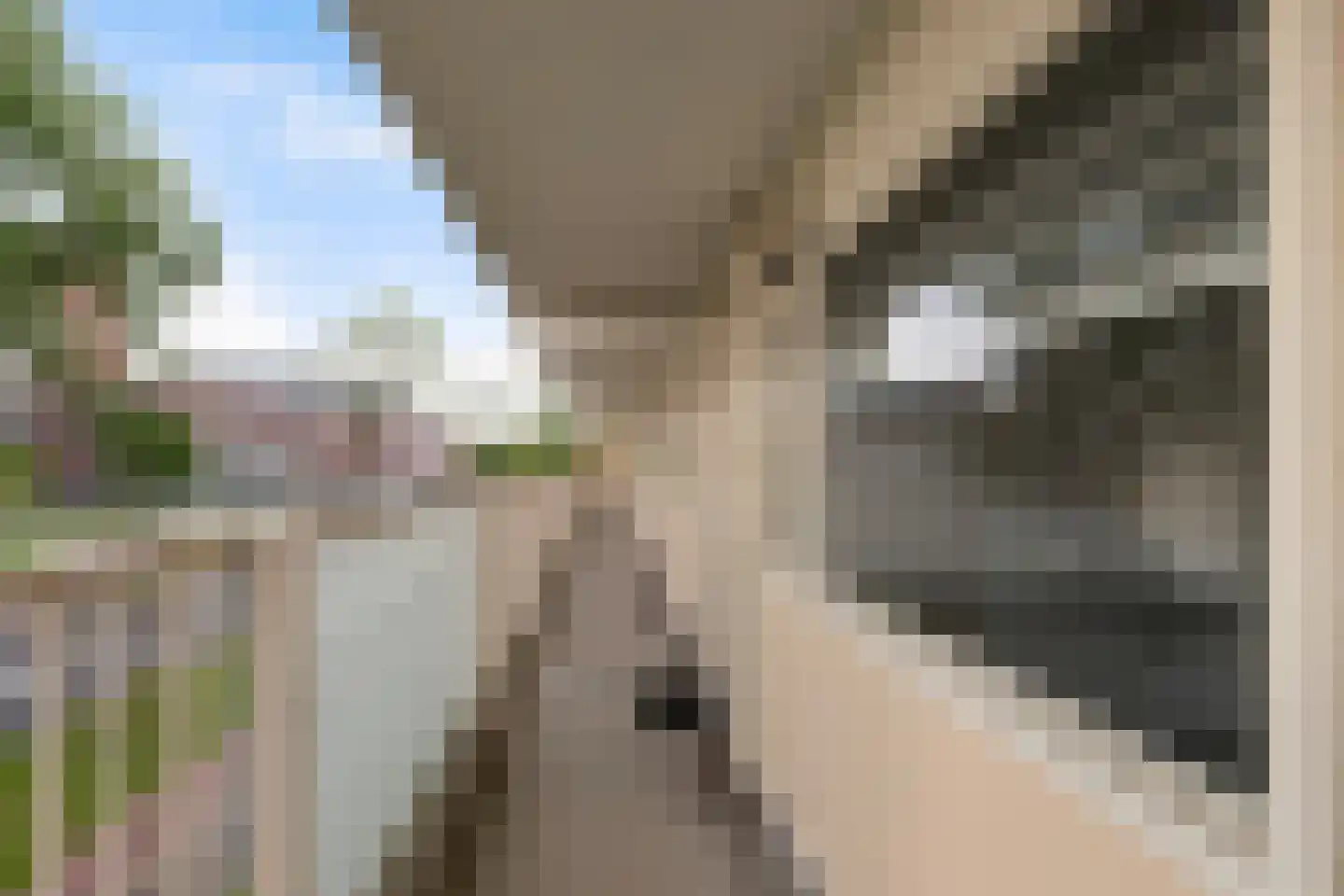 Merelstraat 214 Leiderdorp thumbnail 6