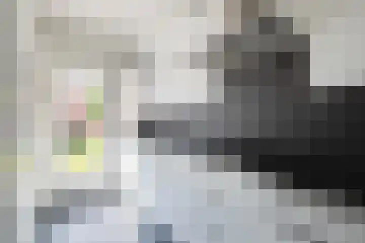 Merelstraat 22 Oosterhout thumbnail 9