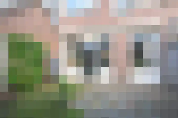 Merelstraat 22 Schagen thumbnail 16