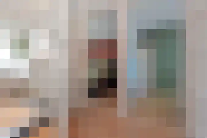 Merelstraat 22 Tiel thumbnail 17