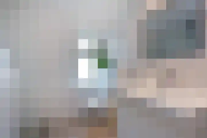 Merelstraat 22 Tiel thumbnail 21
