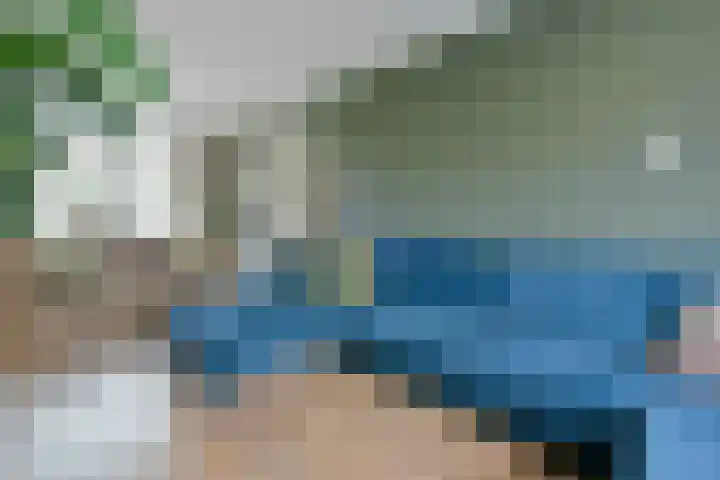 Merelstraat 22 Tiel thumbnail 7