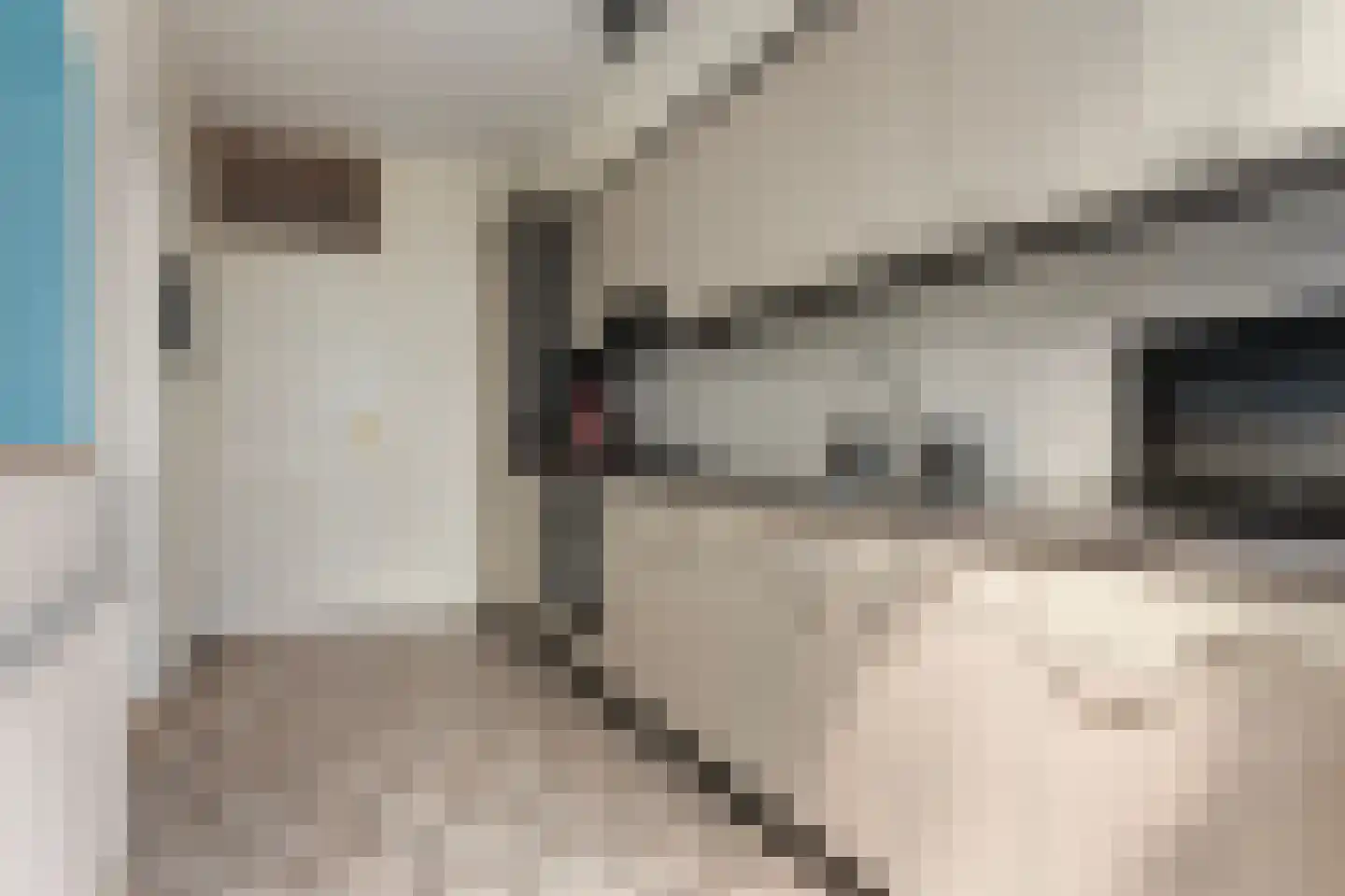 Merelstraat 22 Wijchen thumbnail 22