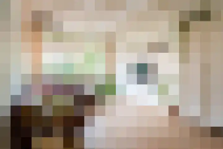 Merelstraat 23 Breda foto 2