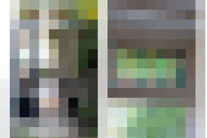 Merelstraat 23 Breda thumbnail 32