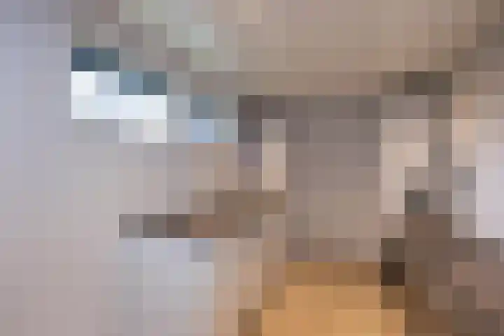 Merelstraat 23 de Lutte thumbnail 11