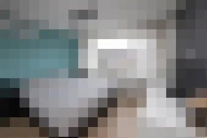 Merelstraat 23 de Lutte thumbnail 13