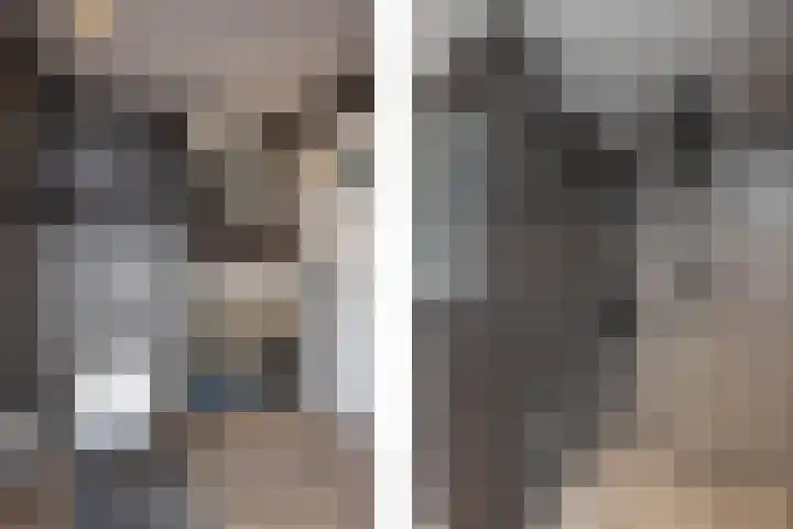 Merelstraat 23 de Lutte thumbnail 16