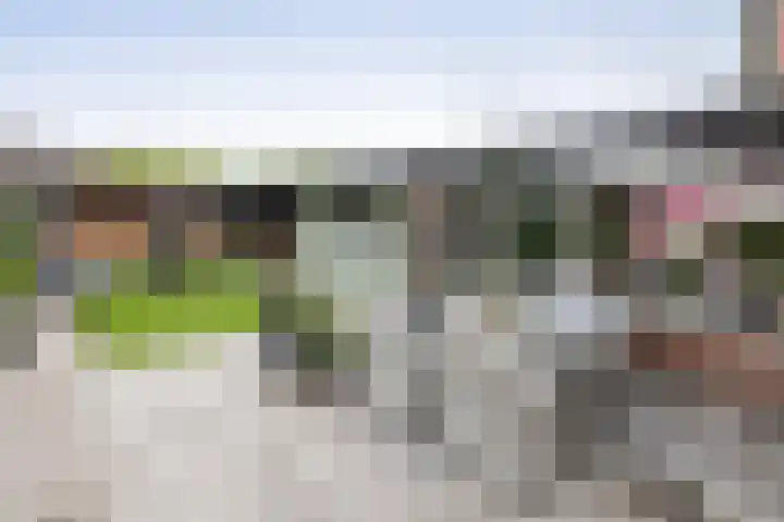 Merelstraat 23 de Lutte thumbnail 17