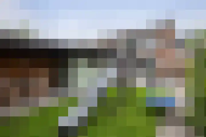Merelstraat 23 de Lutte thumbnail 18