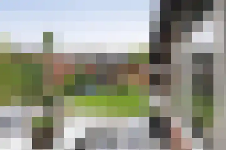 Merelstraat 23 de Lutte thumbnail 4
