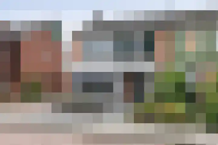 Merelstraat 23 de Lutte thumbnail 5