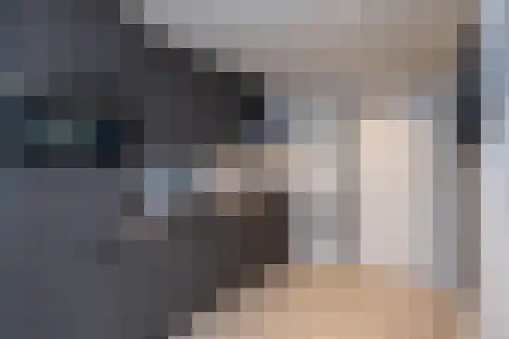 Merelstraat 23 de Lutte thumbnail 6