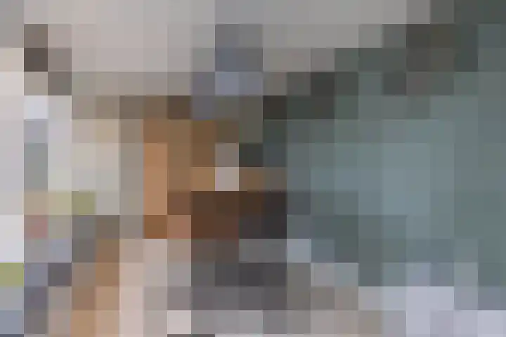 Merelstraat 23 de Lutte thumbnail 7