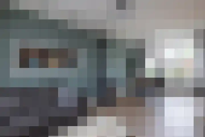 Merelstraat 23 de Lutte thumbnail 9
