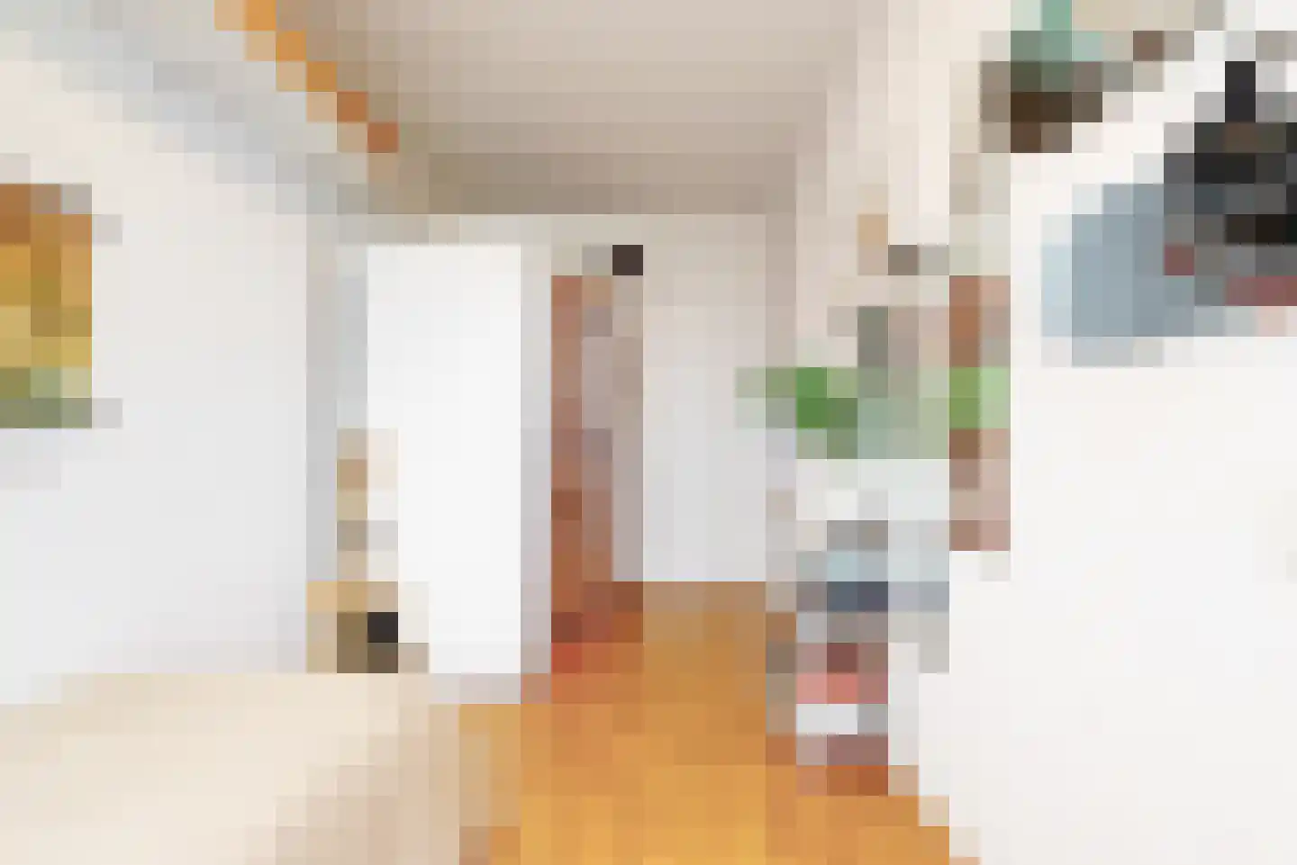 Merelstraat 230 Leiderdorp thumbnail 22