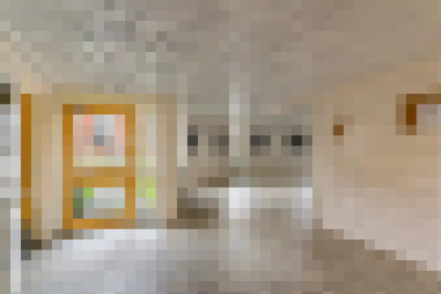 Merelstraat 230 Leiderdorp thumbnail 6