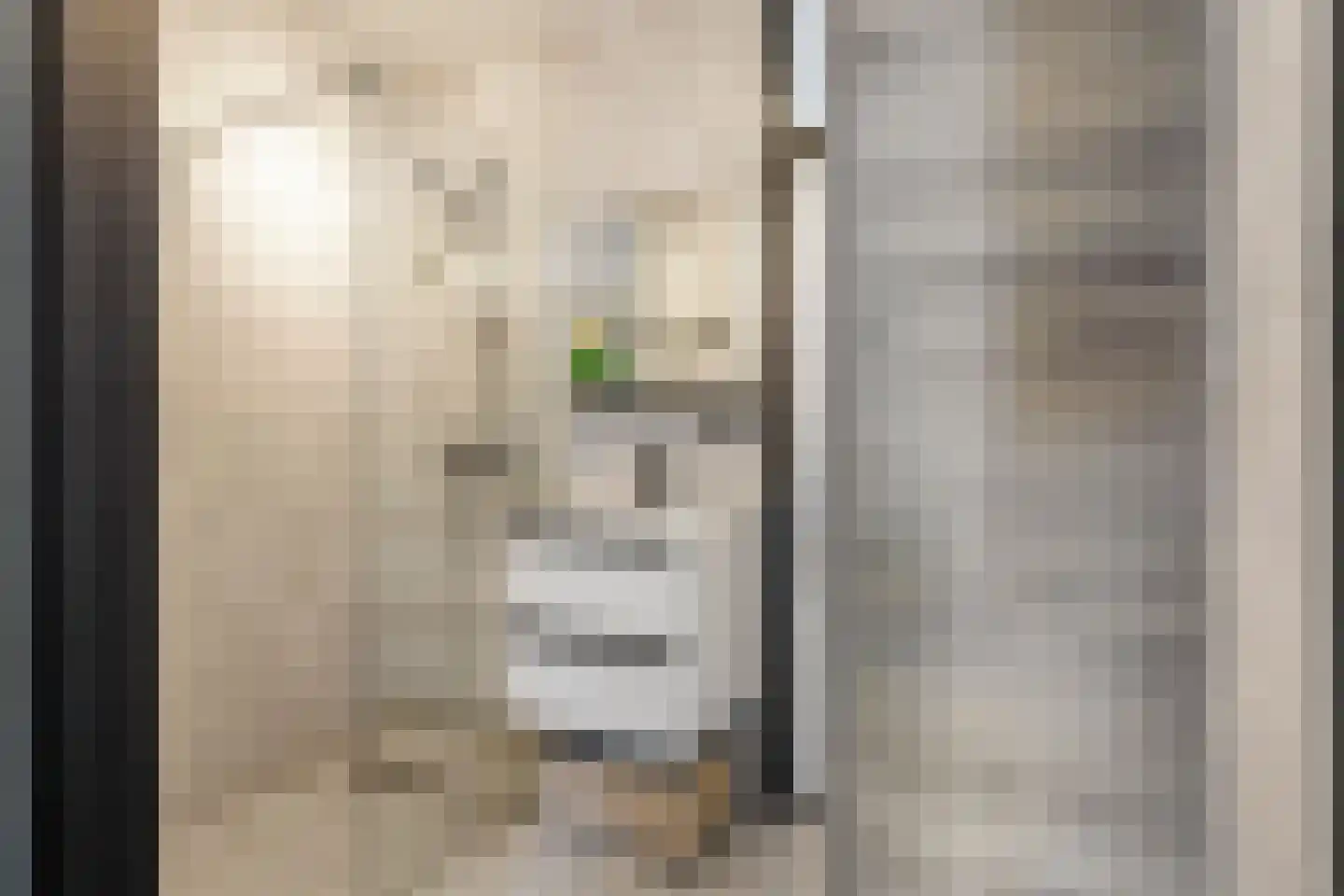 Merelstraat 238 Leiderdorp thumbnail 23