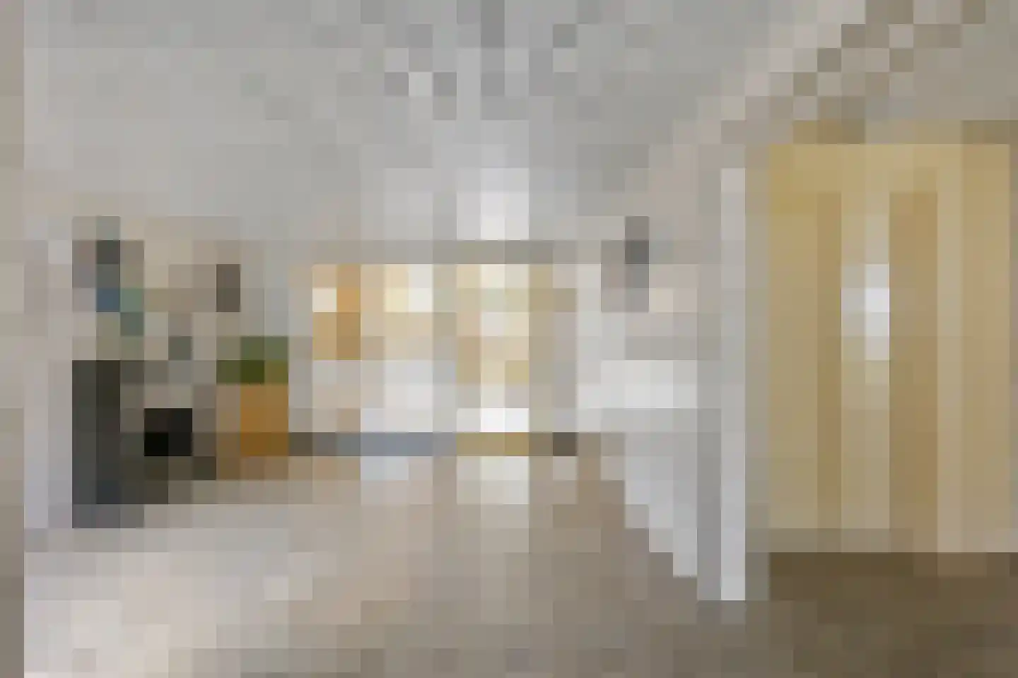 Merelstraat 238 Leiderdorp thumbnail 31