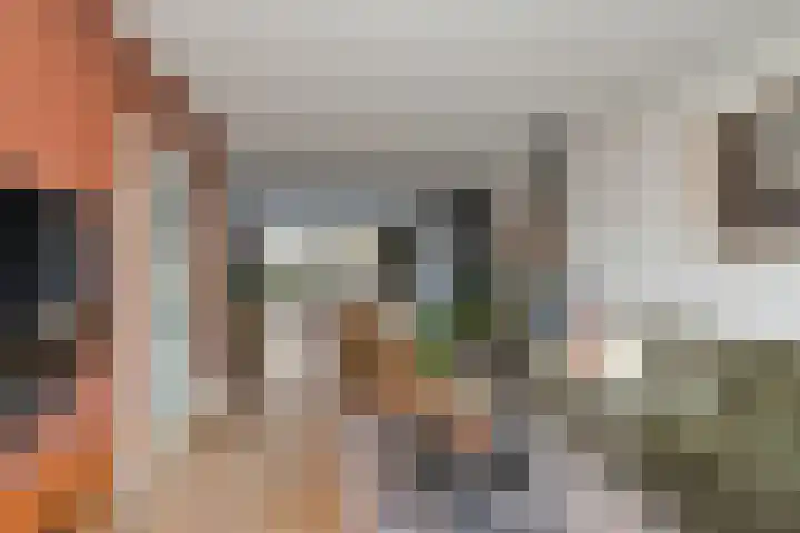 Merelstraat 24 Warmenhuizen thumbnail 10