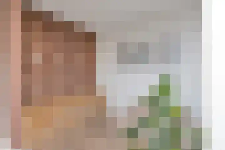 Merelstraat 24 Warmenhuizen thumbnail 11