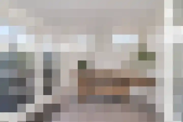 Merelstraat 24 Warmenhuizen thumbnail 17