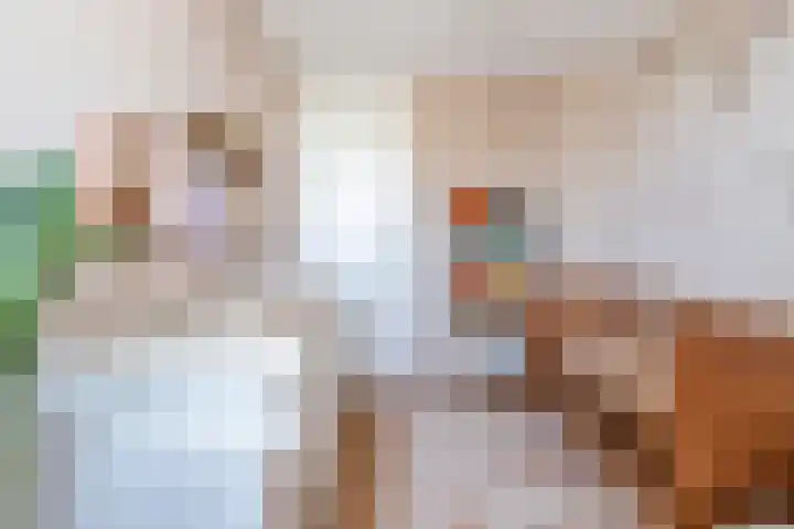 Merelstraat 24 Warmenhuizen thumbnail 22