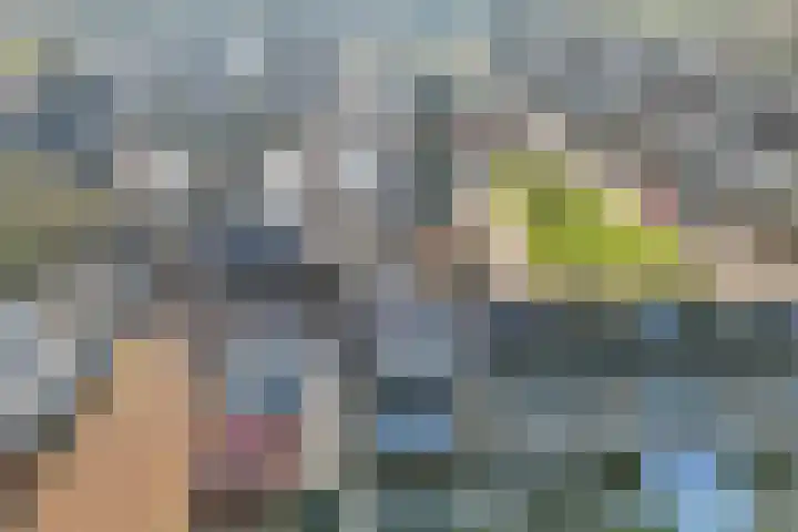Merelstraat 24 Warmenhuizen thumbnail 36