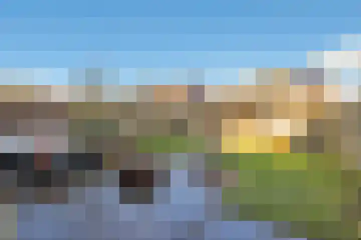 Merelstraat 24 Warmenhuizen thumbnail 39