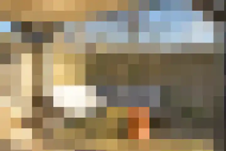 Merelstraat 24 Warmenhuizen thumbnail 41