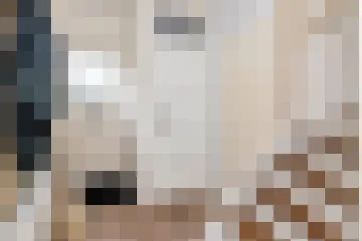 Merelstraat 24 Warmenhuizen thumbnail 8