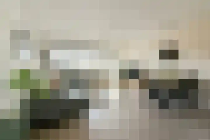Merelstraat 25 Leiderdorp thumbnail 6