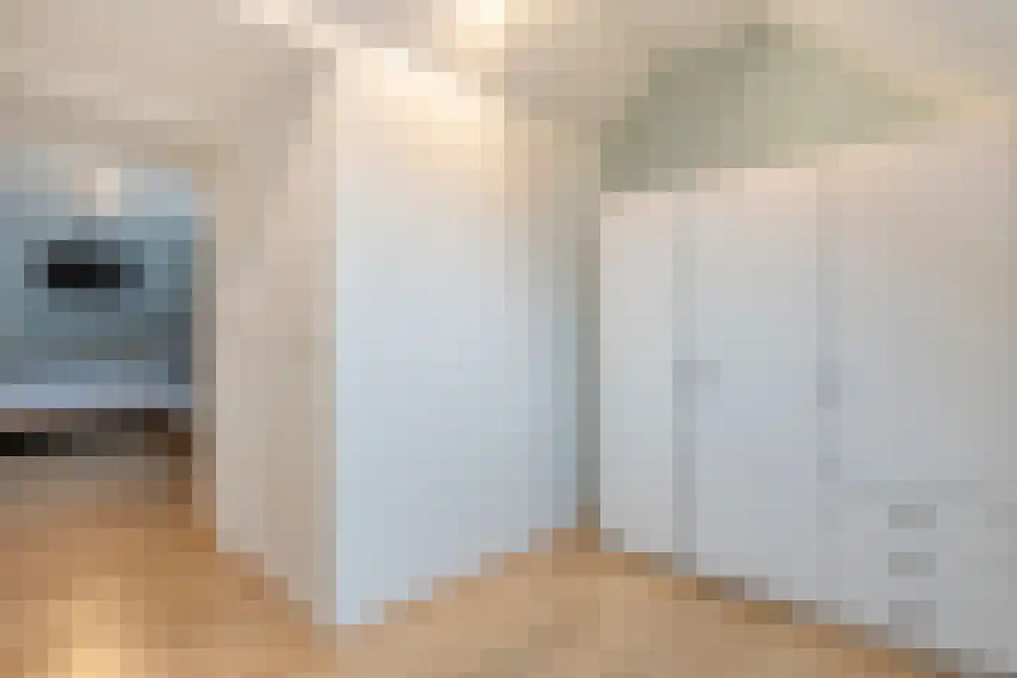 Merelstraat 26 Nijeveen thumbnail 23