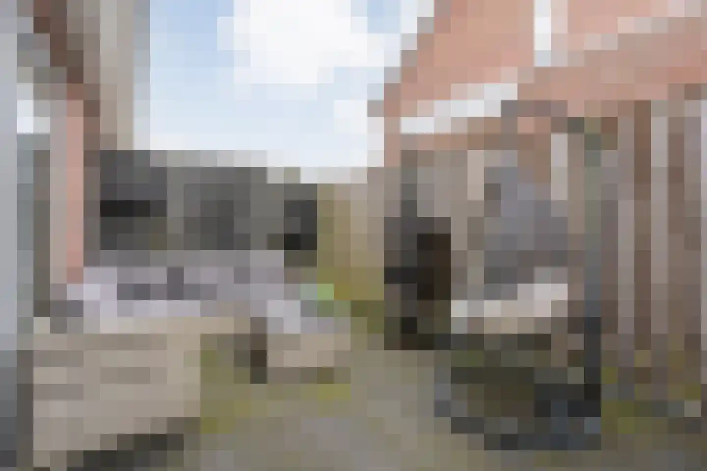 Merelstraat 26 Nijeveen thumbnail 39