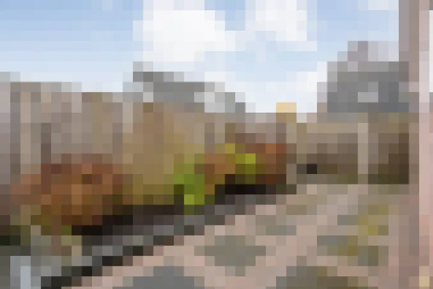 Merelstraat 26 Nijeveen thumbnail 41