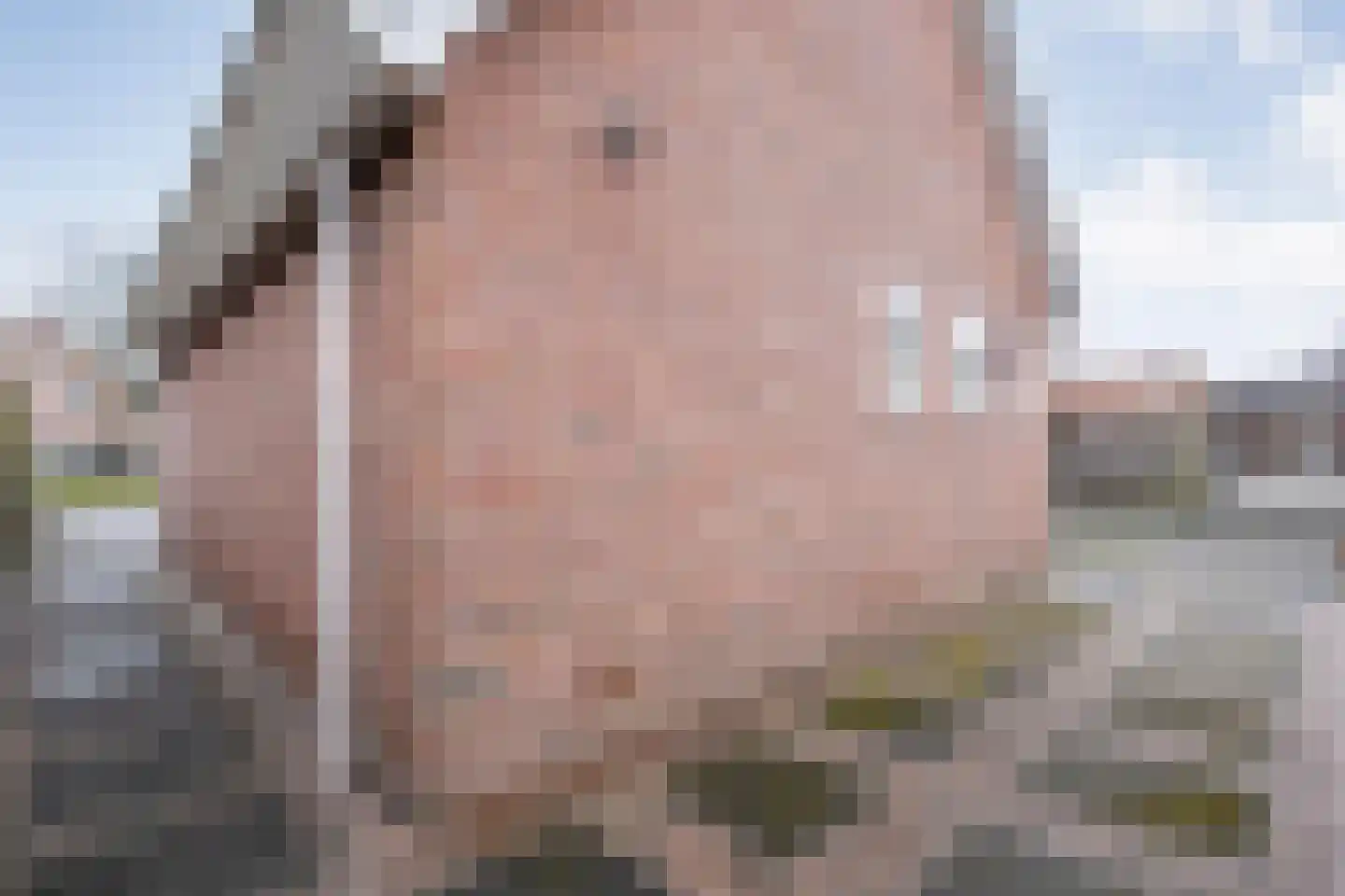 Merelstraat 26 Nijeveen thumbnail 42
