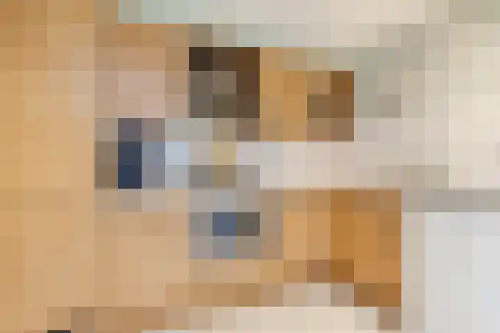 Merelstraat 26 Tilburg thumbnail 6