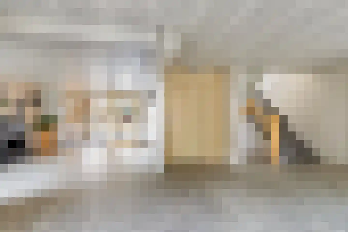 Merelstraat 264 Leiderdorp thumbnail 6