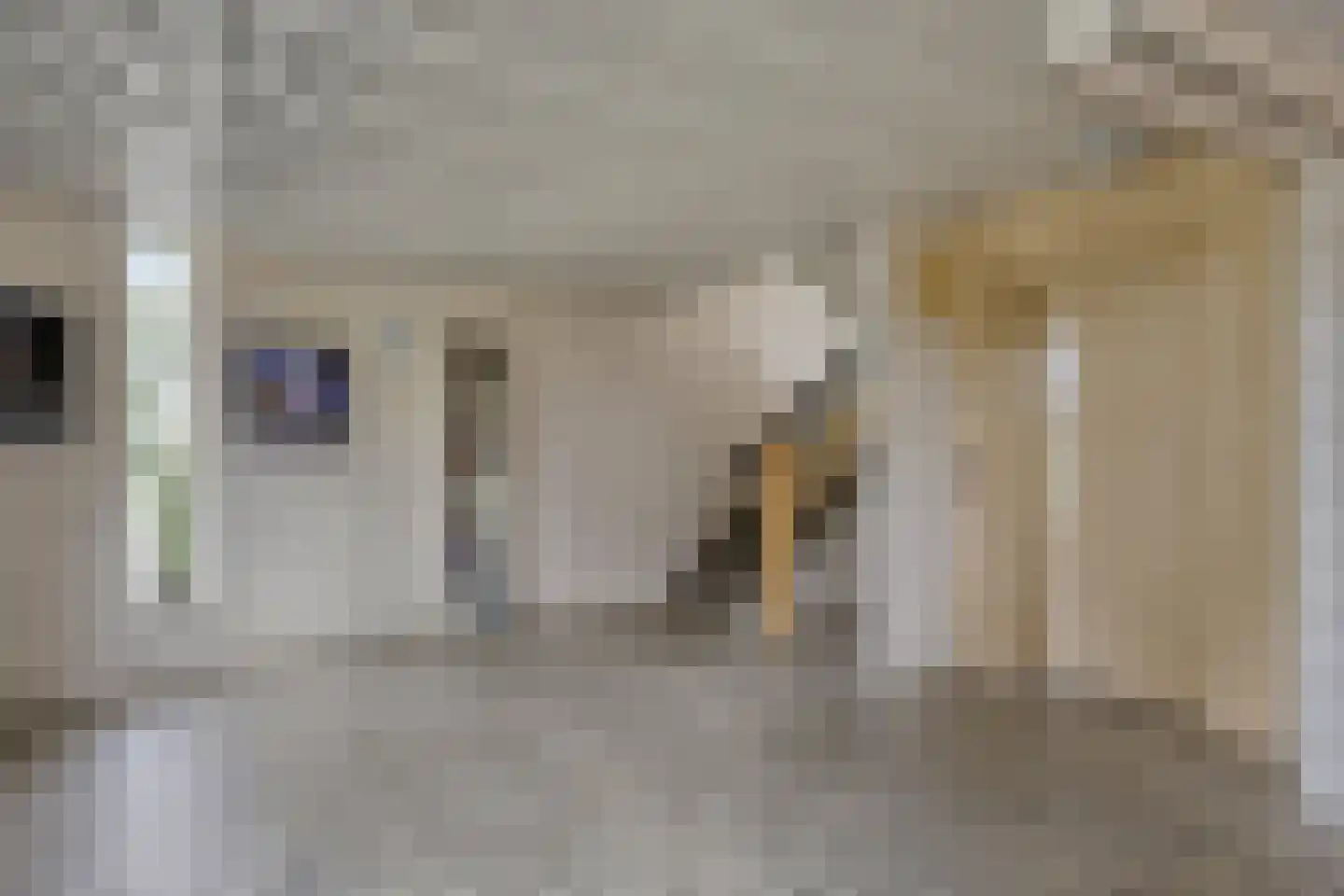 Merelstraat 288 Leiderdorp thumbnail 10