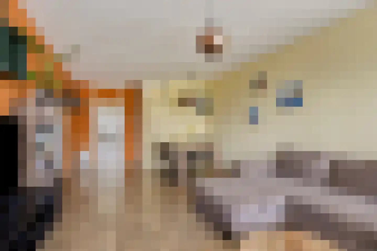 Merelstraat 288 Leiderdorp thumbnail 17